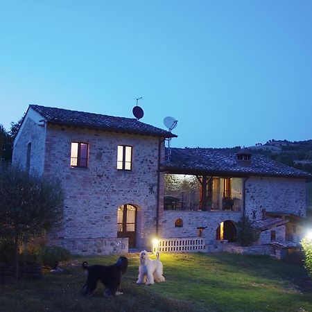 La Pietra Rara B&B モントーネ エクステリア 写真
