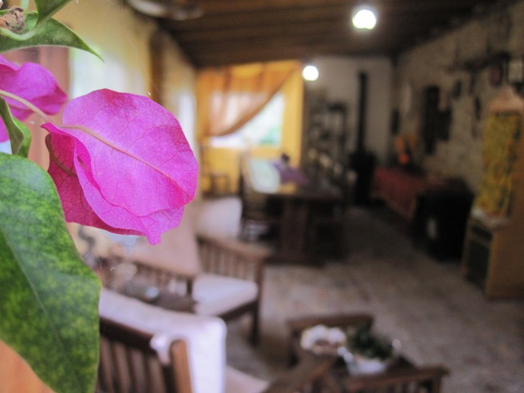 La Pietra Rara B&B モントーネ エクステリア 写真