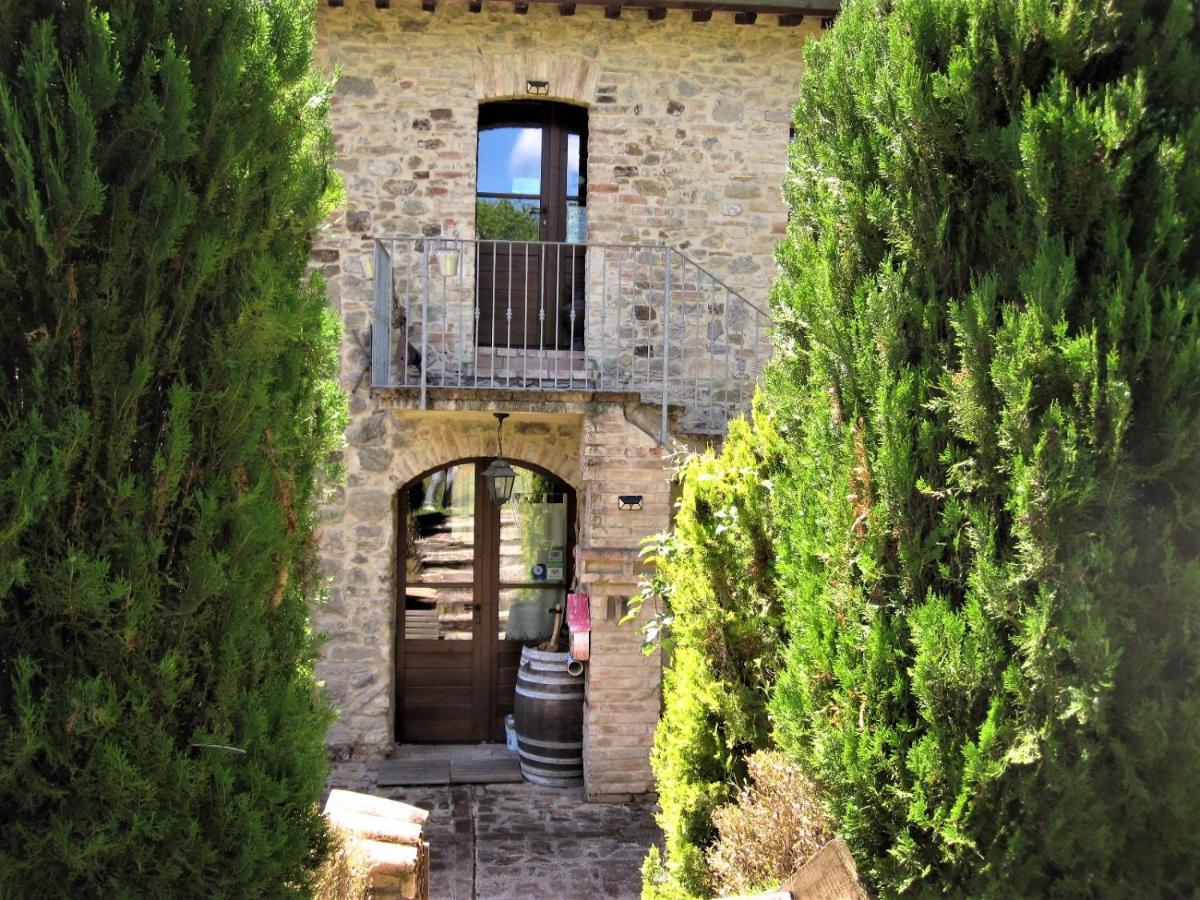 La Pietra Rara B&B モントーネ エクステリア 写真